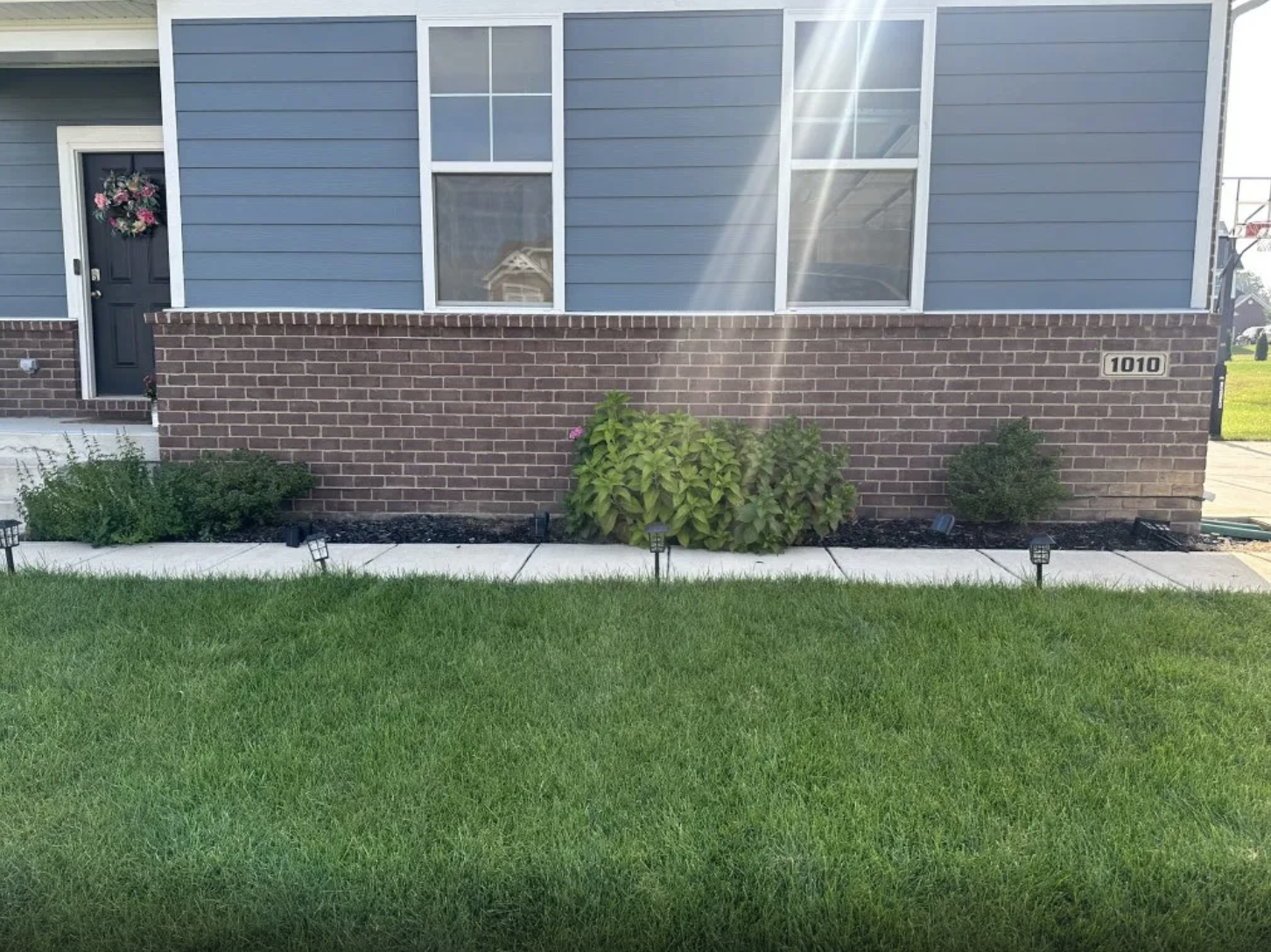 Front Lawn & Landscape