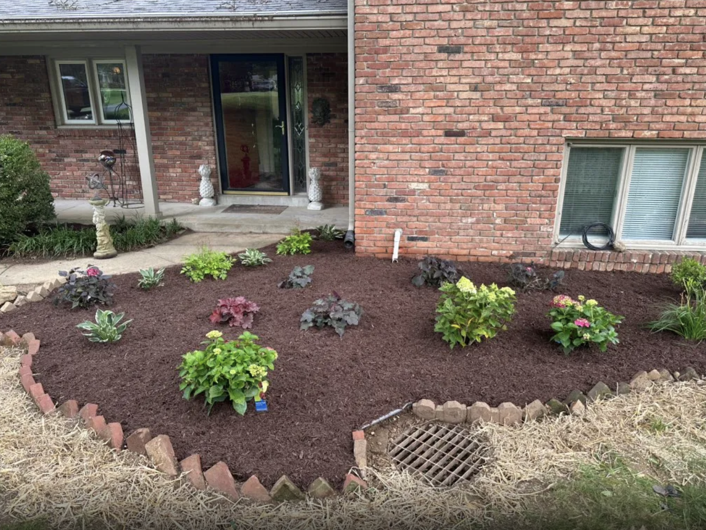 Renovated flower bed with hydrangeas and hostas